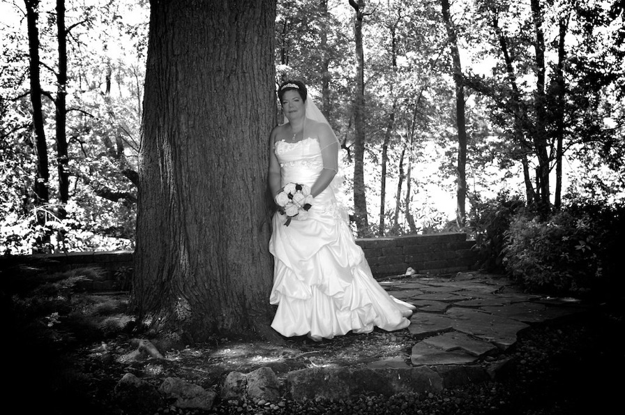 La mariés près d'un arbre