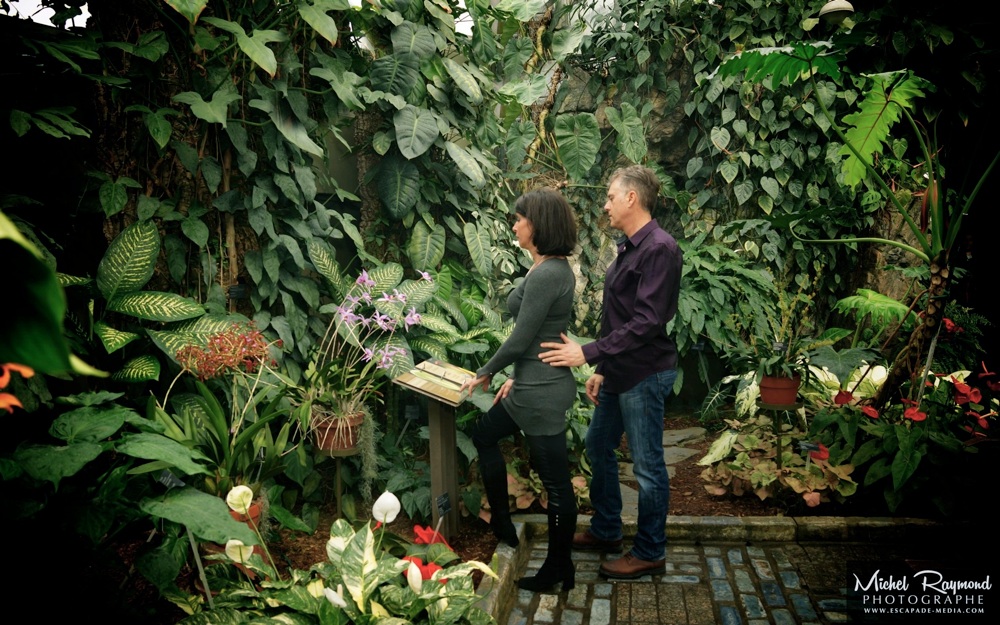 fiancailles-serree-tropical-jardin-botanique