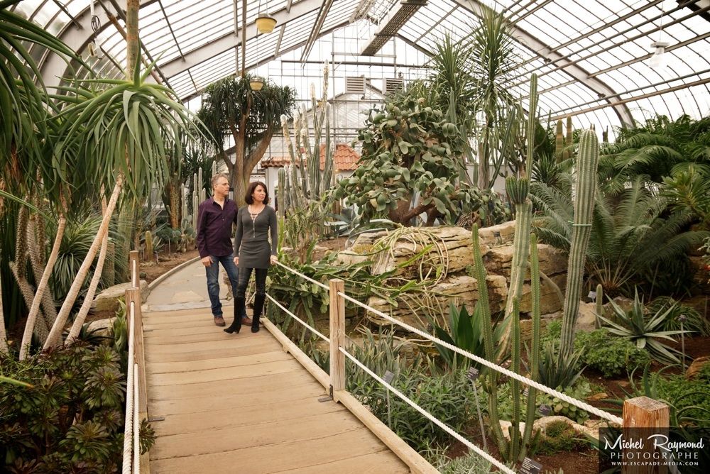 serre-cactus-jardin-botanique