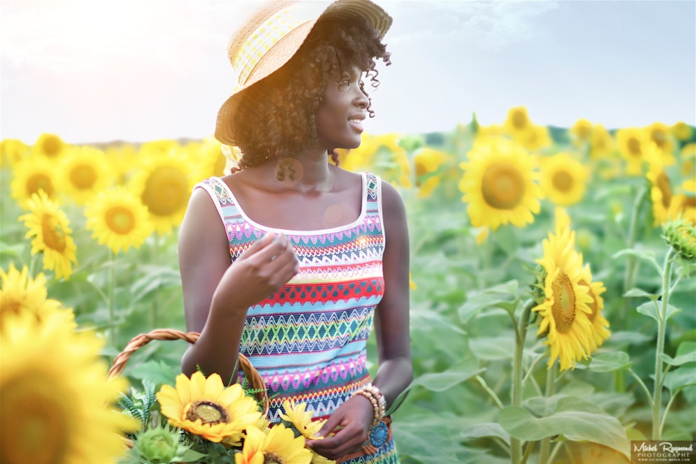 Champ-de-tournesol-jeune-modele-gracelia