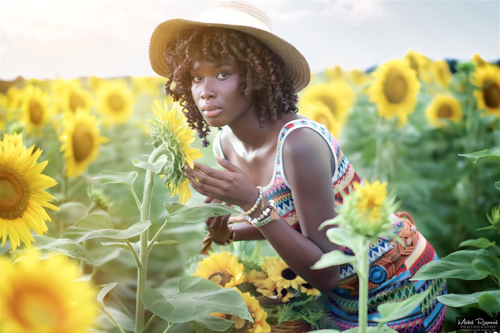 gracelia-modele-tournesol-ferme-saint-ours