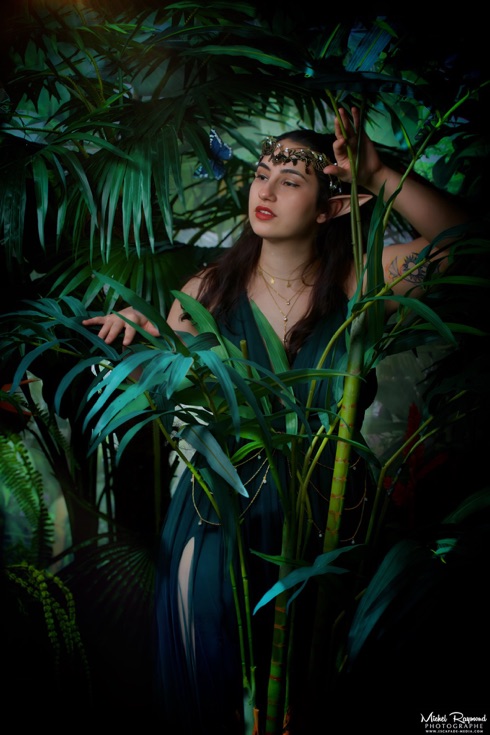 oceane-palmier