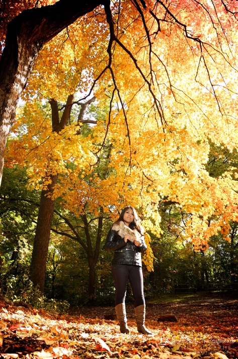 arbre-automne-parc-jean-drapeau
