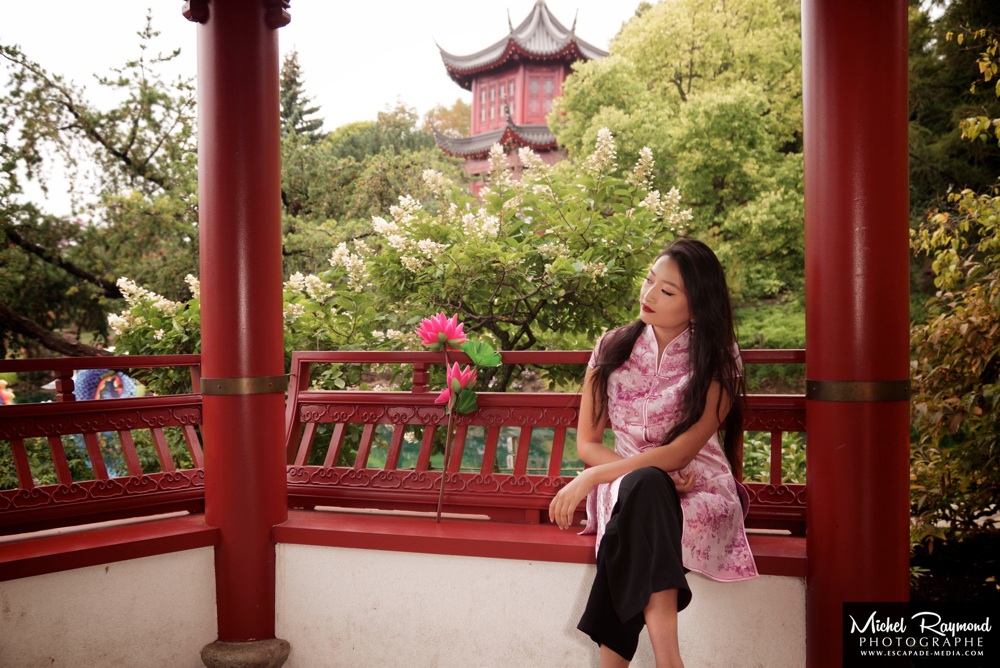chinoise-avec-pagode-jardin-de-chine