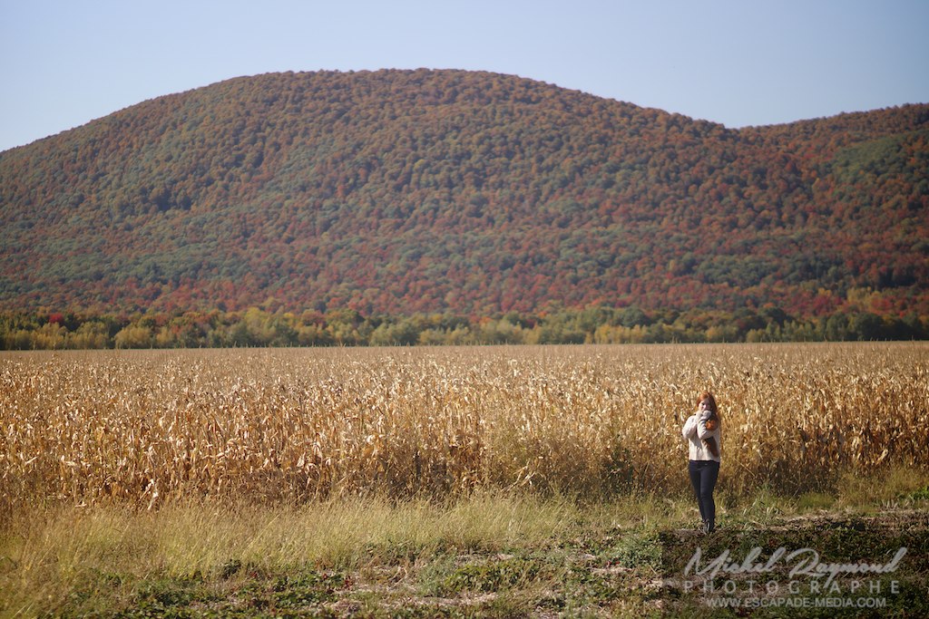 shooting automne mont saint hilaire