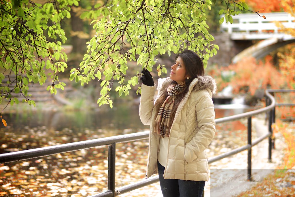 mod&egrave;le lation en dessous d'un arbre