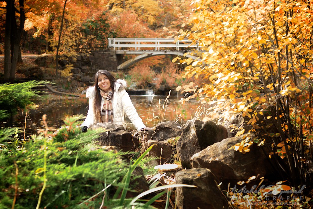 paysage d'automne au parc Jean Drapeau