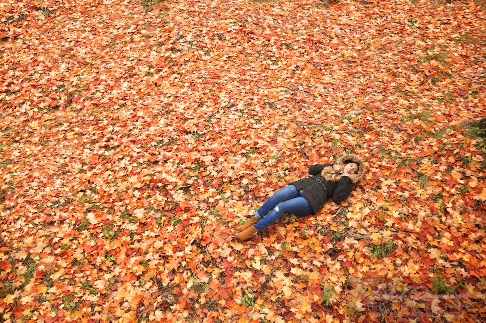femme latino dans les feuilles d'automne du Qu&eacute;bec