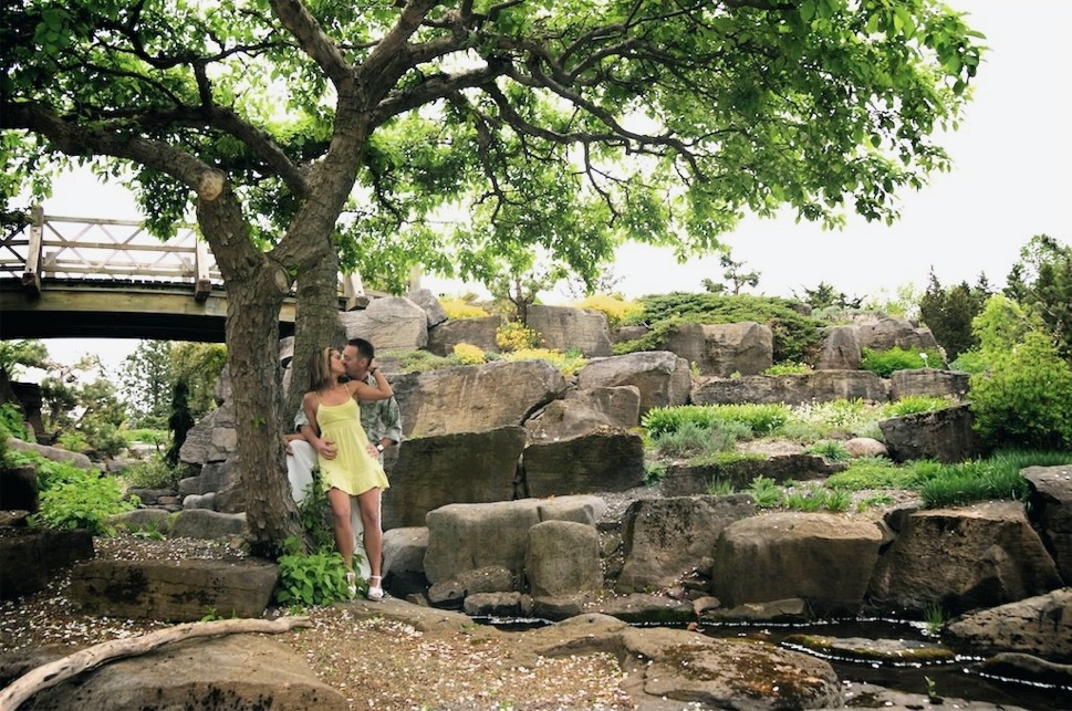 couple amoureux s'embrasse en dessous d'un arbre au jardin botanique
