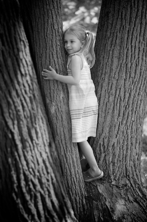 enfant grimpe dans un arbre