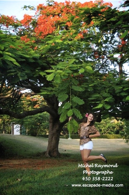 oc&eacute;ane &agrave; cuba pr&egrave;s dun arbre fleurs