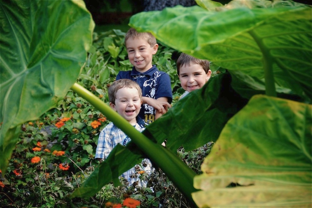 Photo des enfants dans les plantes géantes
