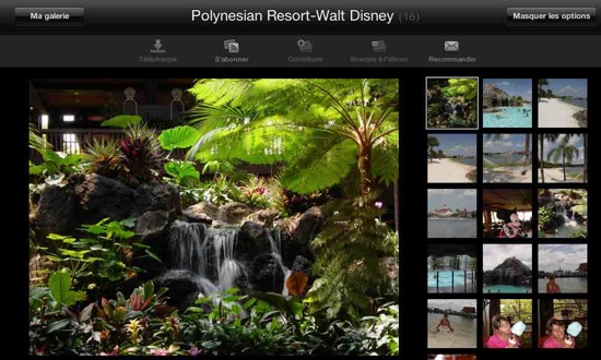 Polynesian Resort photo