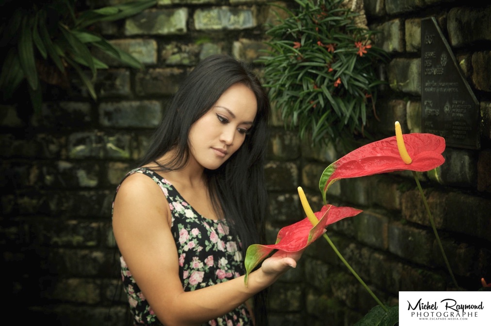 belle-vietnamienne-serre-des-orchidées